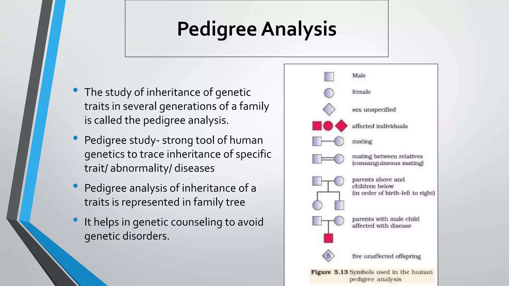 Pedigree Analysis
• The study of inheritance of genetic
traits in several generations of a family
is called the pedigree analysis.
• Pedigree study- strong tool of human
genetics to trace inheritance of specific
trait/ abnormality/ diseases
• Pedigree analysis of inheritance of a
traits is represented in family tree
• It helps in genetic counseling to avoid
genetic disorders.
 
