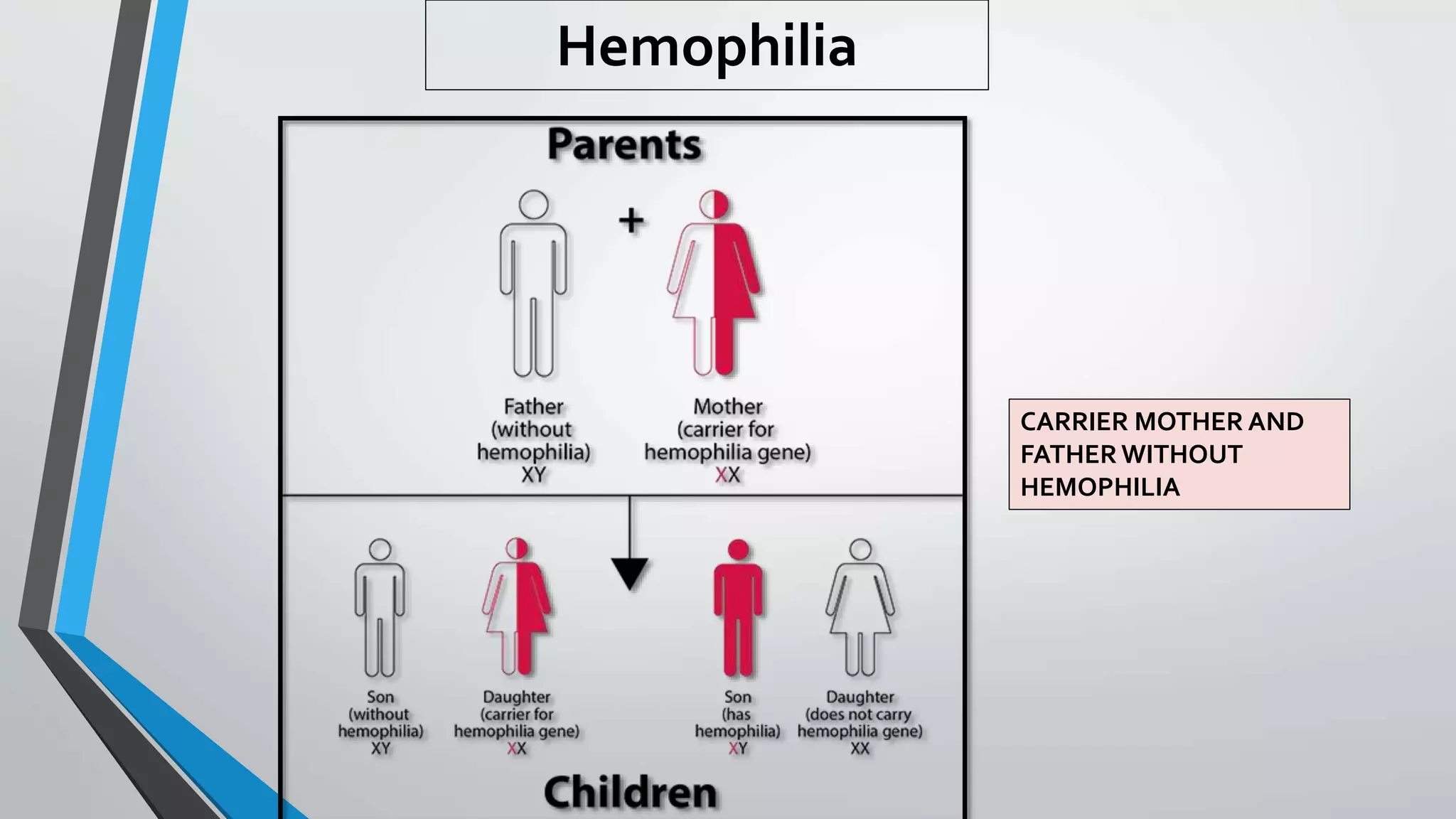 Hemophilia
CARRIER MOTHER AND
FATHER WITHOUT
HEMOPHILIA
 
