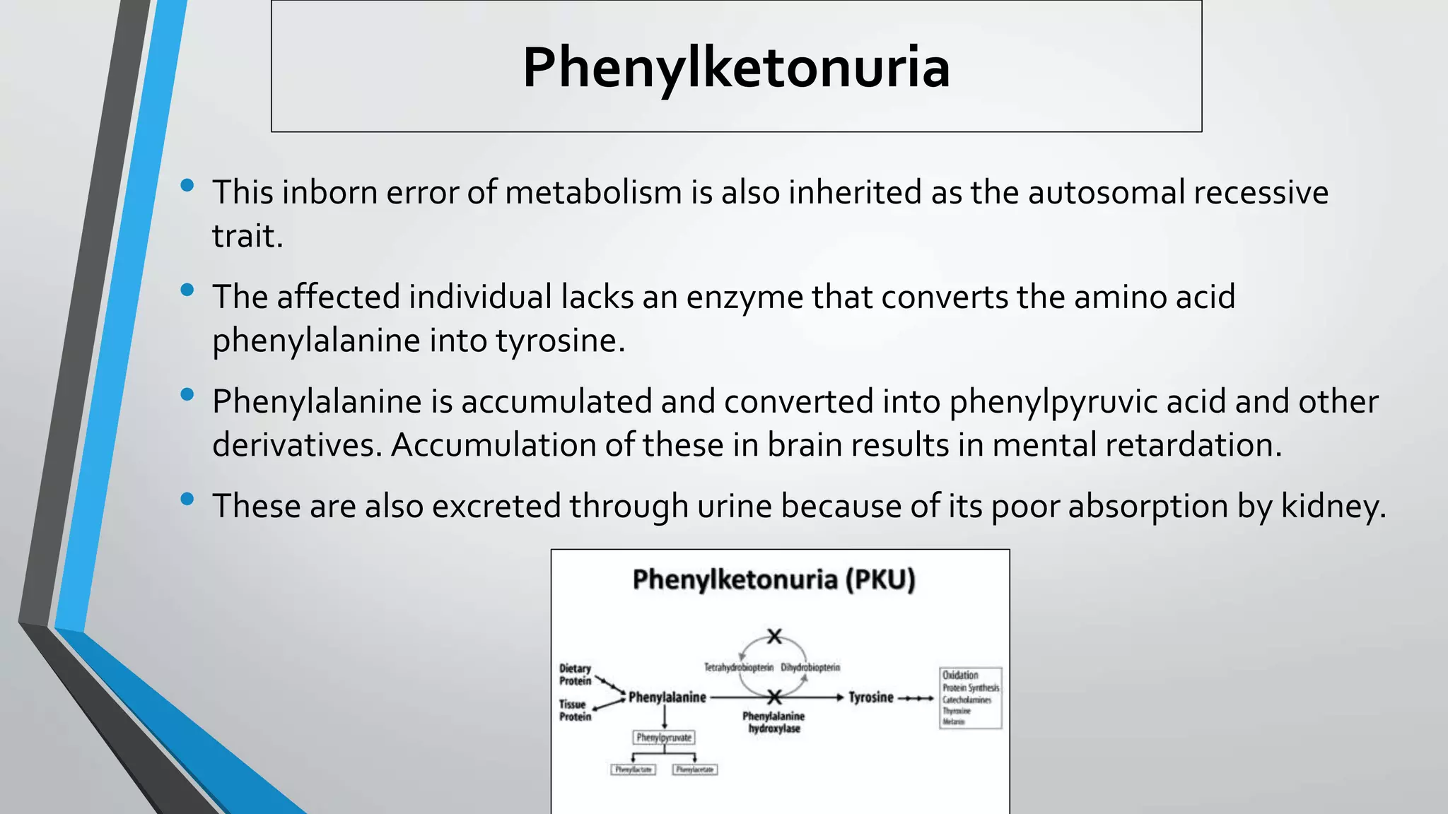 Phenylketonuria
• This inborn error of metabolism is also inherited as the autosomal recessive
trait.
• The affected individual lacks an enzyme that converts the amino acid
phenylalanine into tyrosine.
• Phenylalanine is accumulated and converted into phenylpyruvic acid and other
derivatives. Accumulation of these in brain results in mental retardation.
• These are also excreted through urine because of its poor absorption by kidney.
 