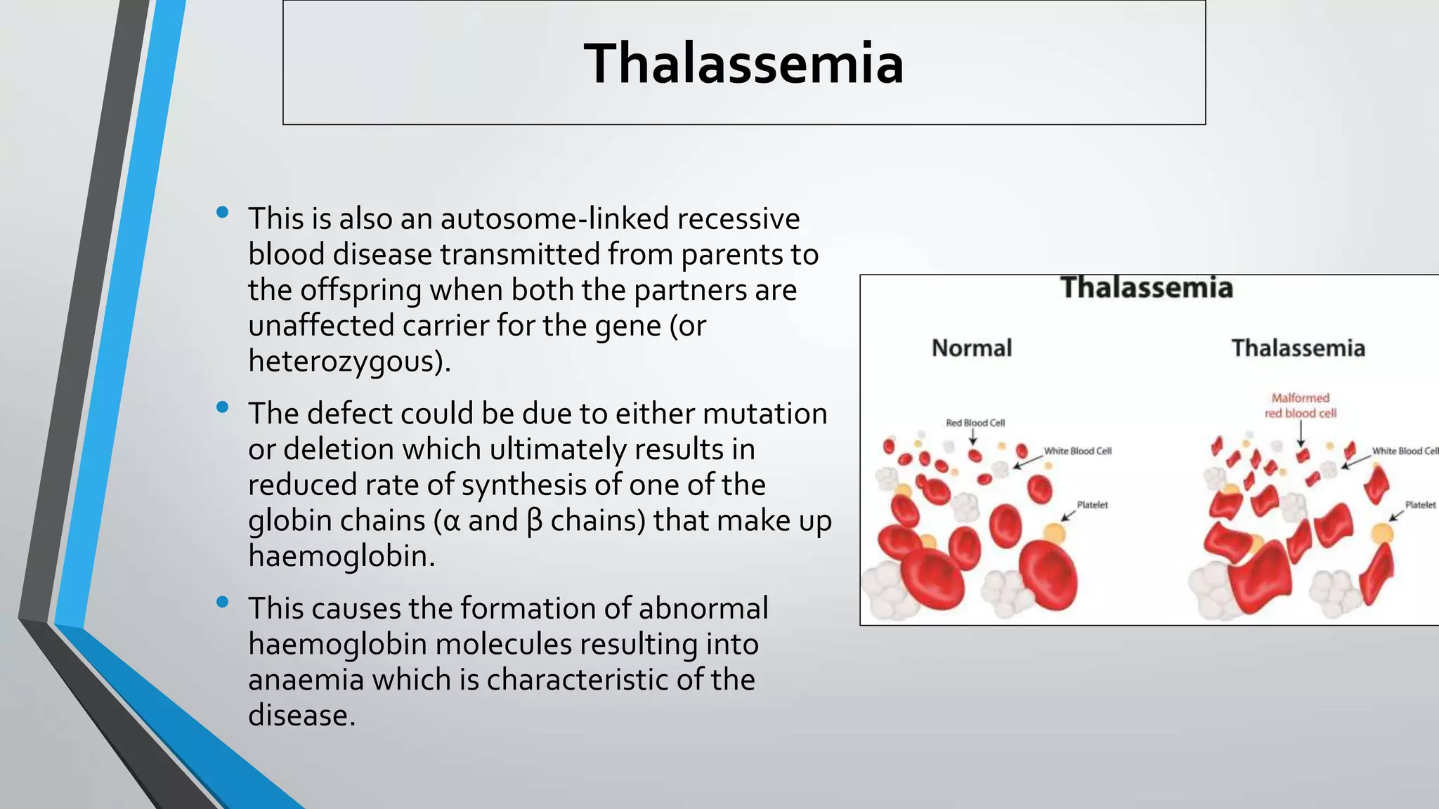 Thalassemia
• This is also an autosome-linked recessive
blood disease transmitted from parents to
the offspring when both the partners are
unaffected carrier for the gene (or
heterozygous).
• The defect could be due to either mutation
or deletion which ultimately results in
reduced rate of synthesis of one of the
globin chains (α and β chains) that make up
haemoglobin.
• This causes the formation of abnormal
haemoglobin molecules resulting into
anaemia which is characteristic of the
disease.
 