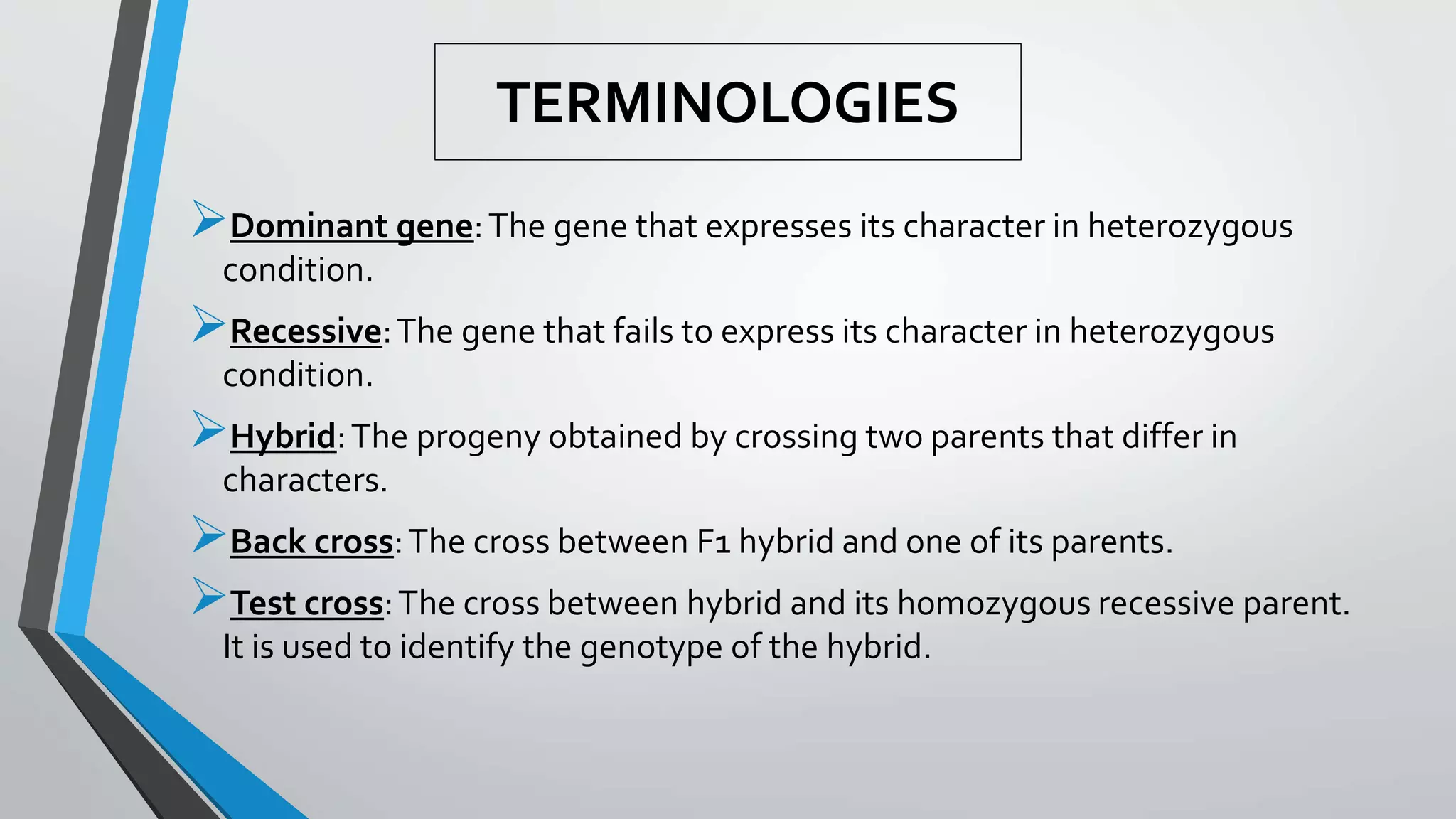 TERMINOLOGIES
Dominant gene:The gene that expresses its character in heterozygous
condition.
Recessive:The gene that fails to express its character in heterozygous
condition.
Hybrid:The progeny obtained by crossing two parents that differ in
characters.
Back cross:The cross between F1 hybrid and one of its parents.
Test cross:The cross between hybrid and its homozygous recessive parent.
It is used to identify the genotype of the hybrid.
 