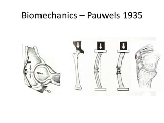 Biomechanics – Pauwels 1935
 