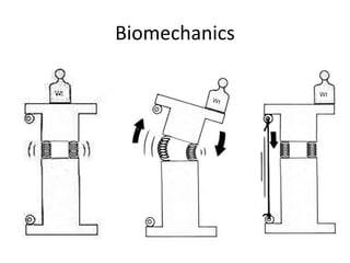 Biomechanics
 