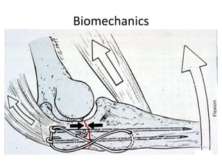 Biomechanics
 
