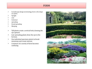 FORM
• In landscape design terminology, form is the shape
of a plant.
• Upright
• oval
• Columnar
• spreading
• broad spreading
• Weeping
• Tall plants create a vertical look, drawing the
eye upward
• Low spreading plants draw the eye to the
horizon.
• Use individual specimen plants to break
monotony and create interest.
• A mixture of a variety of form becomes
confusing
 