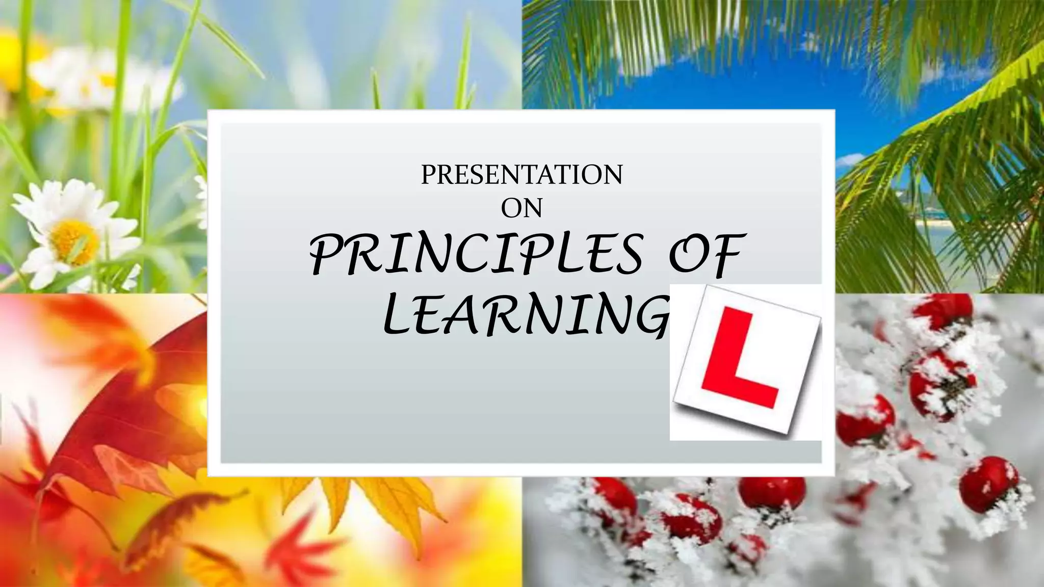 PRESENTATION
ON

PRINCIPLES OF
LEARNING

 