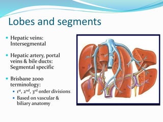 Principles of liver resection.pptx
