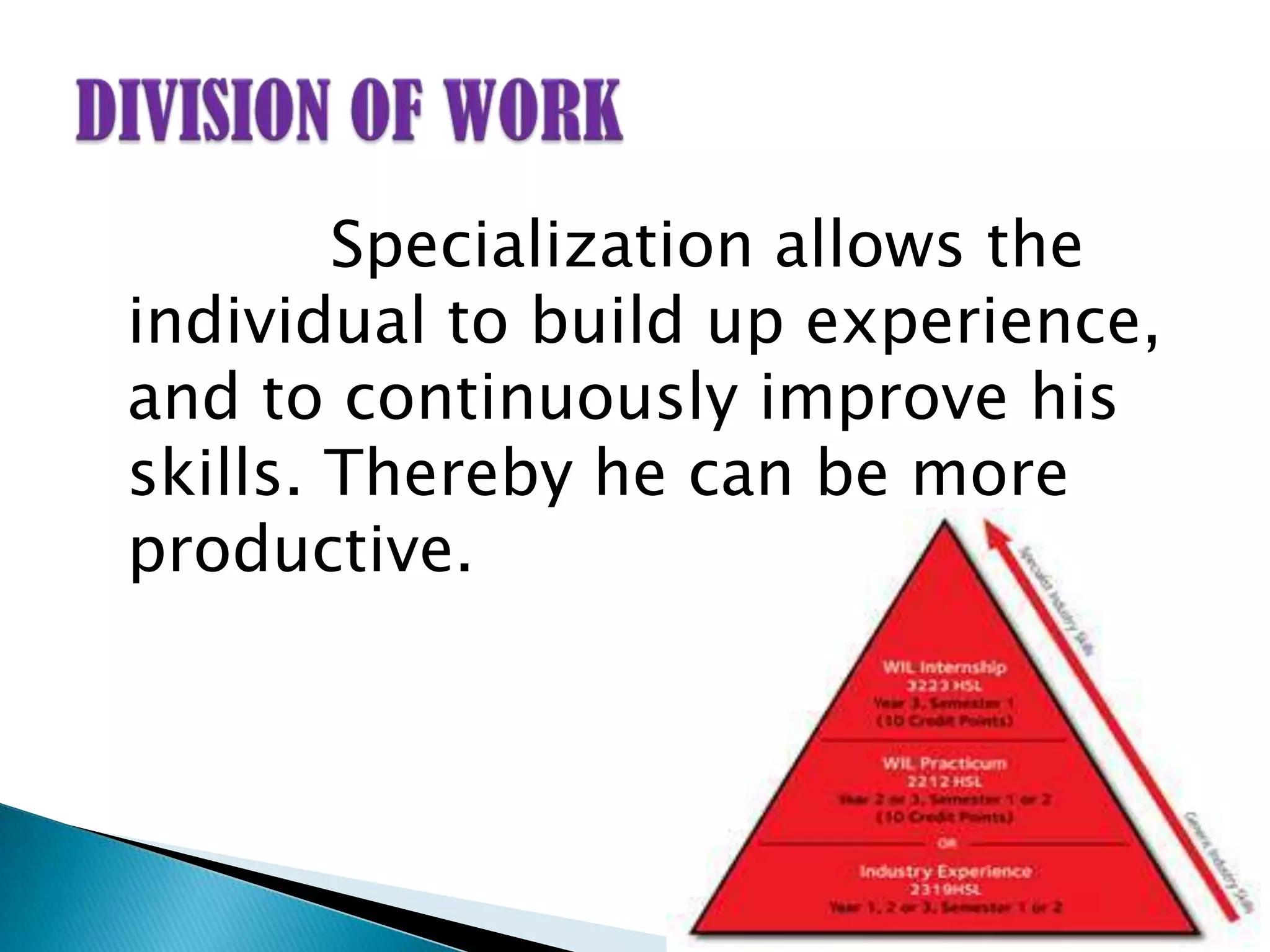 Specialization allows the
individual to build up experience,
and to continuously improve his
skills. Thereby he can be more
productive.
 