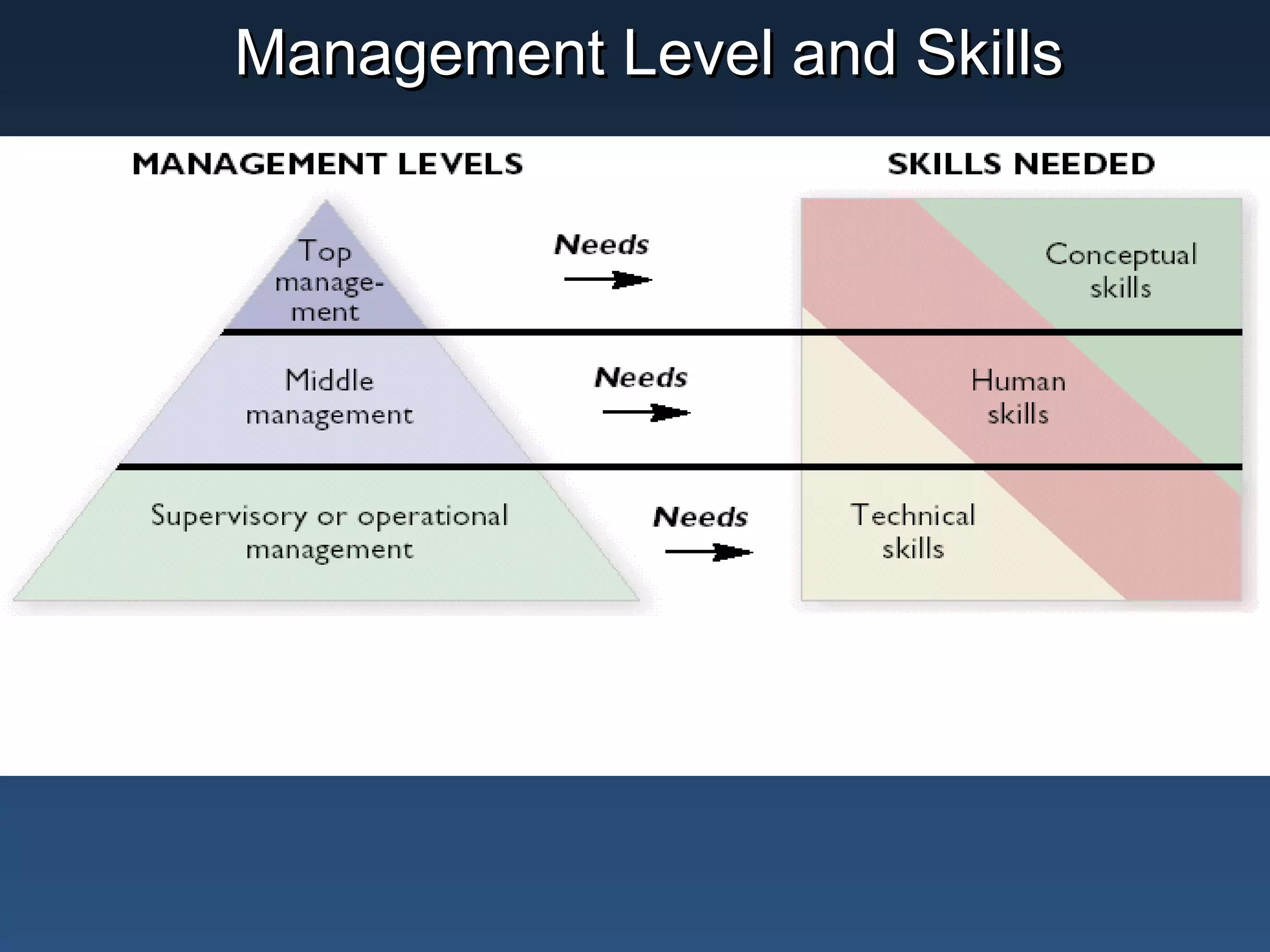 Management Level and Skills

 