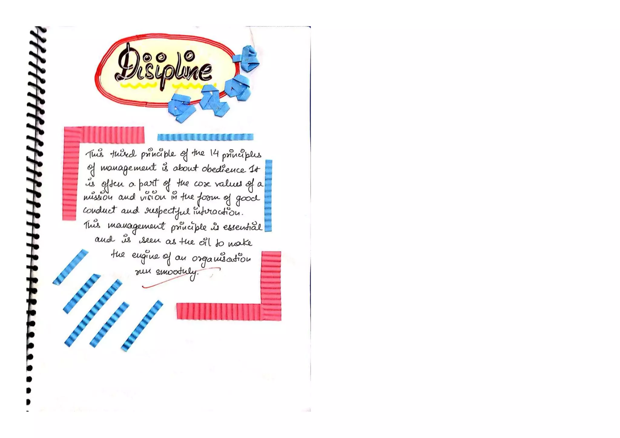 Principles of Management - 3 || Business Studies Project || Class 12 CBSE