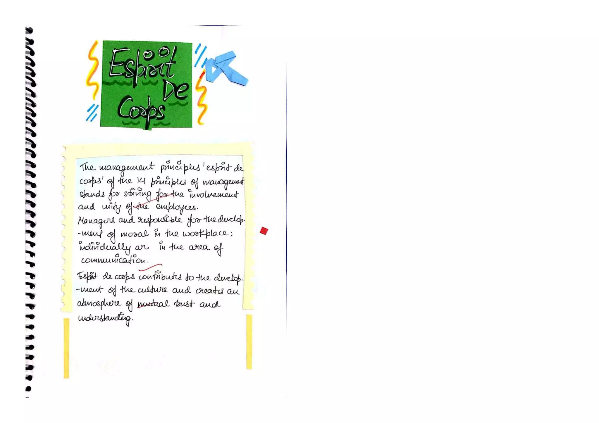 Principles of Management - 3 || Business Studies Project || Class 12 CBSE