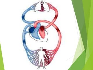 Principles of management of Shock.ppt