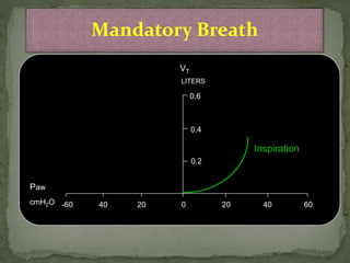 Mandatory Breath
Inspiration
0 20 40 602040-60
0.2
LITERS
0.4
0.6
Paw
cmH2O
VT
 