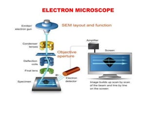 ELECTRON MICROSCOPE
 