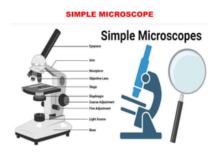 SIMPLE MICROSCOPE
 