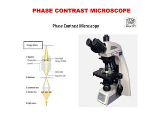 PHASE CONTRAST MICROSCOPE
 