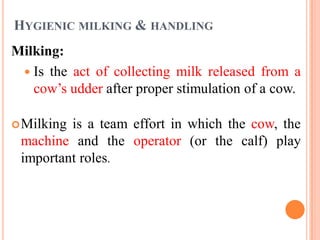 HYGIENIC MILKING & HANDLING
Milking:
 Is the act of collecting milk released from a
cow‟s udder after proper stimulation of a cow.
Milking is a team effort in which the cow, the
machine and the operator (or the calf) play
important roles.
 