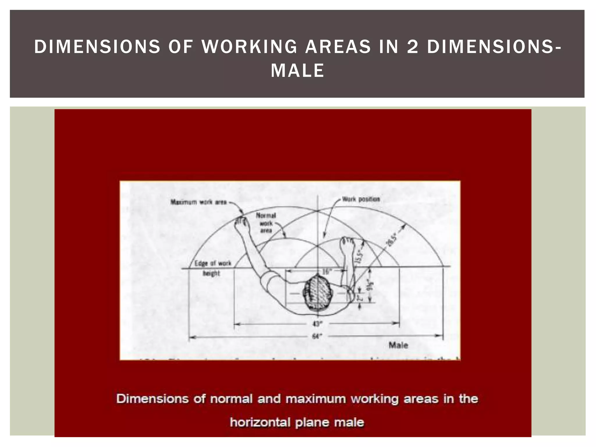 DIMENSIONS OF WORKING AREAS IN 2 DIMENSIONS -
                   MALE
 