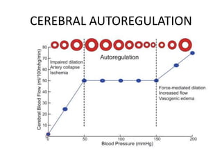 Principles of neurocritical care | PPTX
