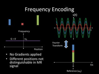 Frequency	Encoding
• No	Gradients	applied
• Different	positions	not	
distinguishable	in	MR	
signal
Position
Frequency
G	=	0
Fourier	
Transform
ω0
t
f/x
Reference	(ω0)
0
s(t)	
 