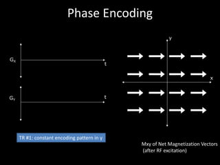 Phase	Encoding
x
y
t
GX
tGY
Mxy of	Net	Magnetization	Vectors
(after	RF	excitation)
TR	#1:	constant	encoding	pattern	in	y
 