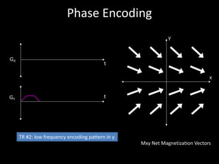 Phase	Encoding
x
y
t
GX
tGY
Mxy Net	Magnetization	Vectors
TR	#2:	low	frequency	encoding	pattern	in	y
 