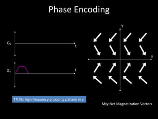 Phase	Encoding
x
y
t
GX
tGY
Mxy Net	Magnetization	Vectors
TR	#3:	high	frequency	encoding	pattern	in	y
 