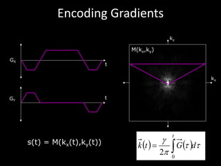Encoding	Gradients
kx
ky
t
GX
tGY
( ) ( ) tt
p
g
dGtk
t
ò=
0
2
s(t) = M(kx(t),ky(t))
M(kx,ky)
 