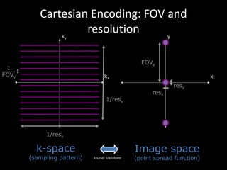 Cartesian	Encoding:	FOV	and	
resolution
kx
ky
1
FOVy
k-space
(sampling pattern)
Image space
(point spread function)Fourier	Transform
x
y
FOVy
1/resx
resx
resy
1/resy
 