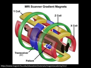 http://www.magnet.fsu.edu/education/tutorials/magnetacademy/mri/
(RF)
 