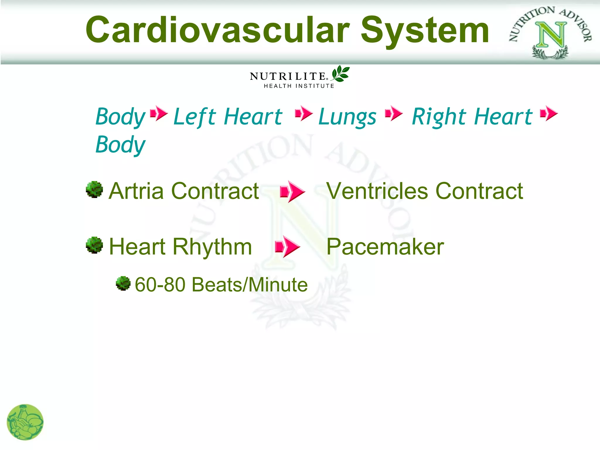 Cardiovascular System

Body   Left Heart       Lungs   Right Heart
Body
 Artria Contract        Ventricles Contract

 Heart Rhythm           Pacemaker
   60-80 Beats/Minute
 