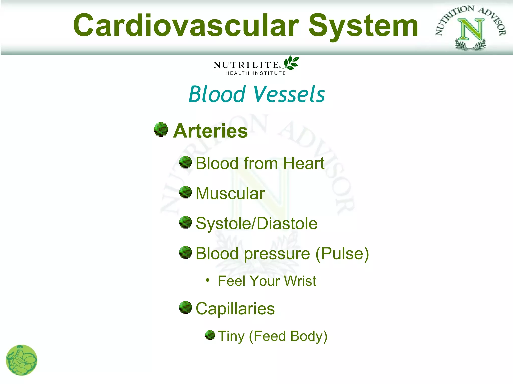 Cardiovascular System

       Blood Vessels
      Arteries
        Blood from Heart
        Muscular
        Systole/Diastole
        Blood pressure (Pulse)
         • Feel Your Wrist

        Capillaries
           Tiny (Feed Body)
 
