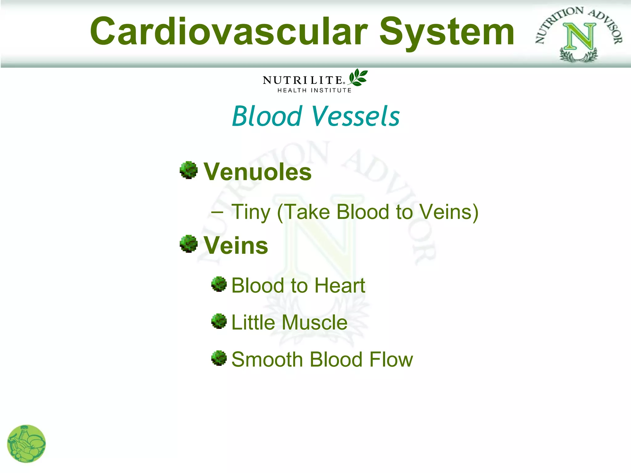 Cardiovascular System

        Blood Vessels
     Venuoles
      – Tiny (Take Blood to Veins)
     Veins
        Blood to Heart
        Little Muscle
        Smooth Blood Flow
 
