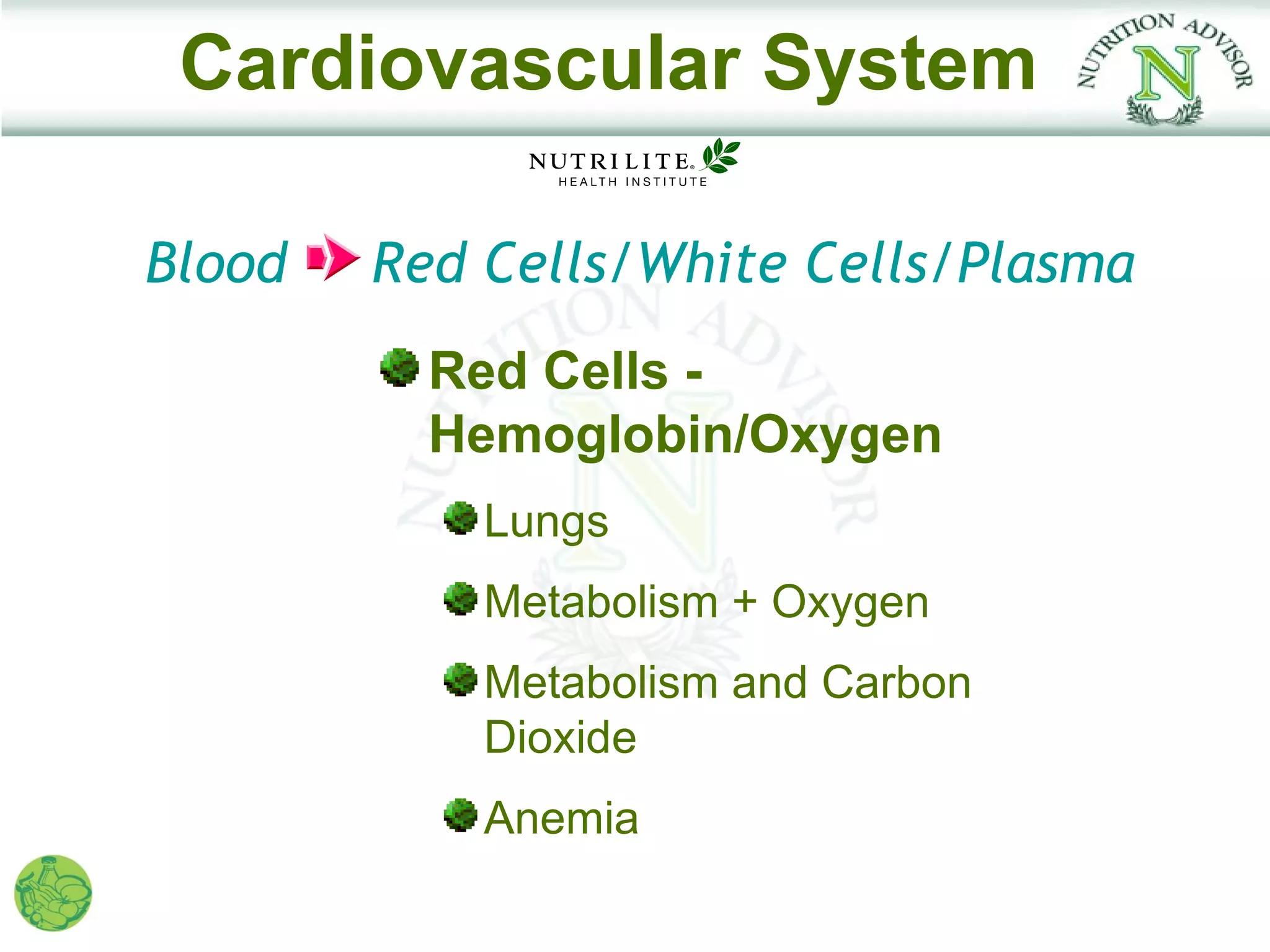 Cardiovascular System

Blood   Red Cells/White Cells/Plasma
          Red Cells -
          Hemoglobin/Oxygen
            Lungs
            Metabolism + Oxygen
            Metabolism and Carbon
            Dioxide
            Anemia
 