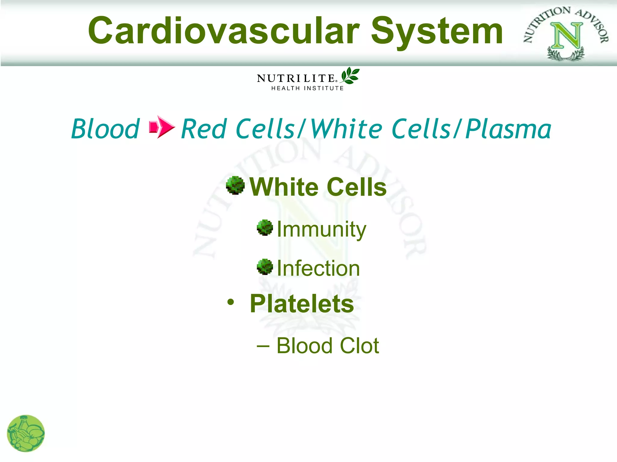Cardiovascular System

Blood   Red Cells/White Cells/Plasma

             White Cells
               Immunity
               Infection
           • Platelets
             – Blood Clot
 