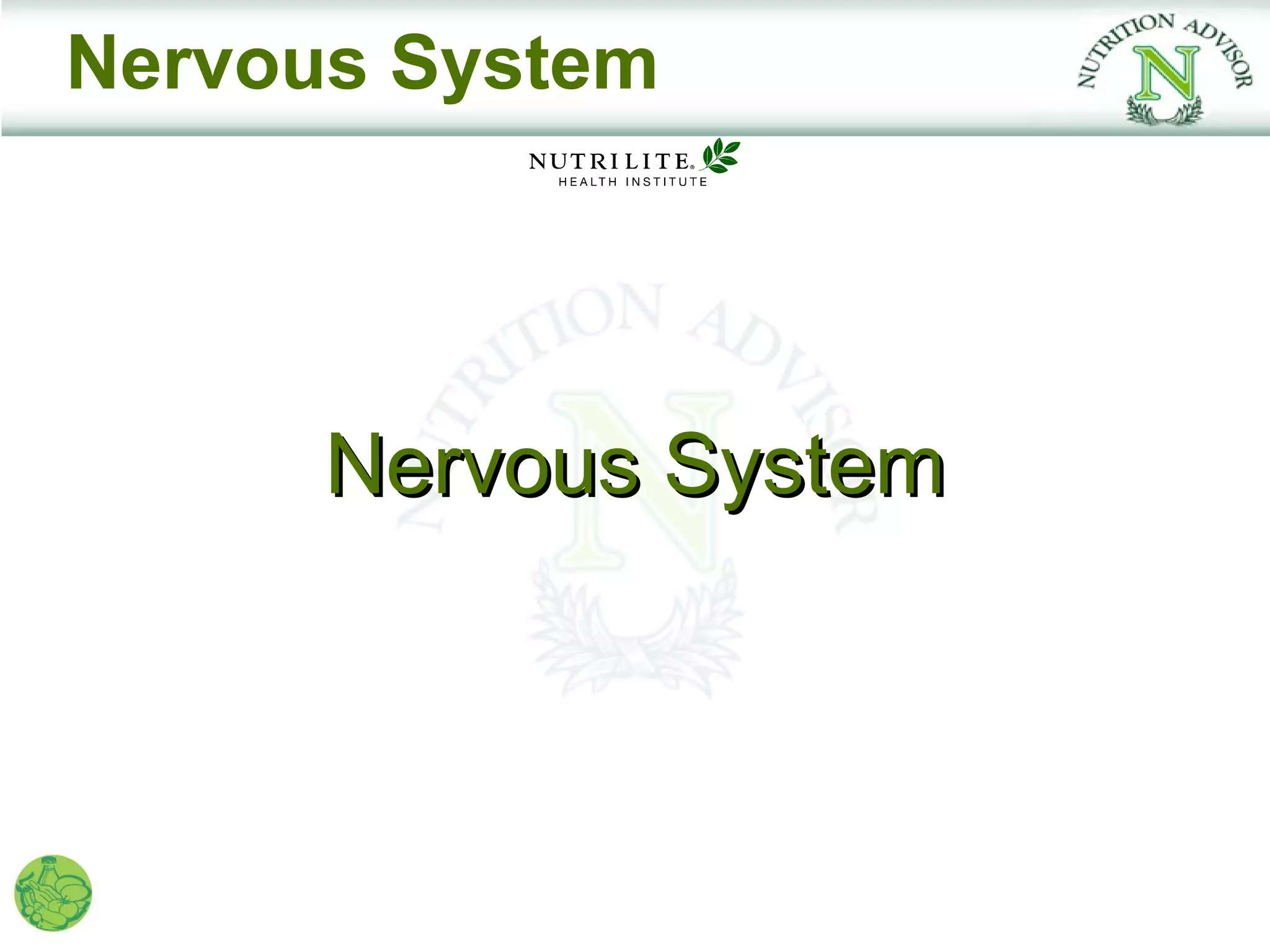 Nervous System




      Nervous System
 