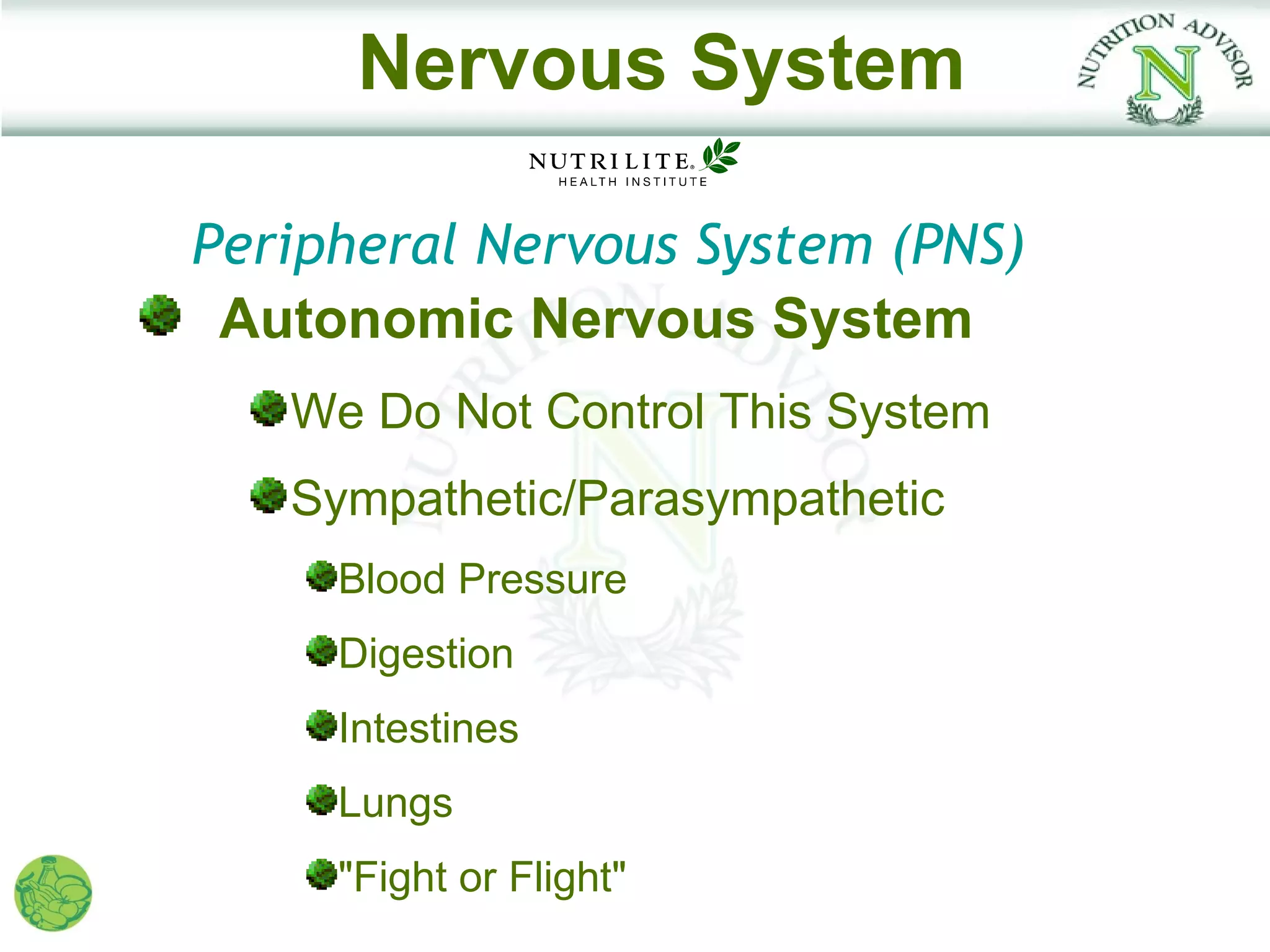 Nervous System

Peripheral Nervous System (PNS)
 Autonomic Nervous System
   We Do Not Control This System
   Sympathetic/Parasympathetic
     Blood Pressure
     Digestion
     Intestines
     Lungs
     "Fight or Flight"
 