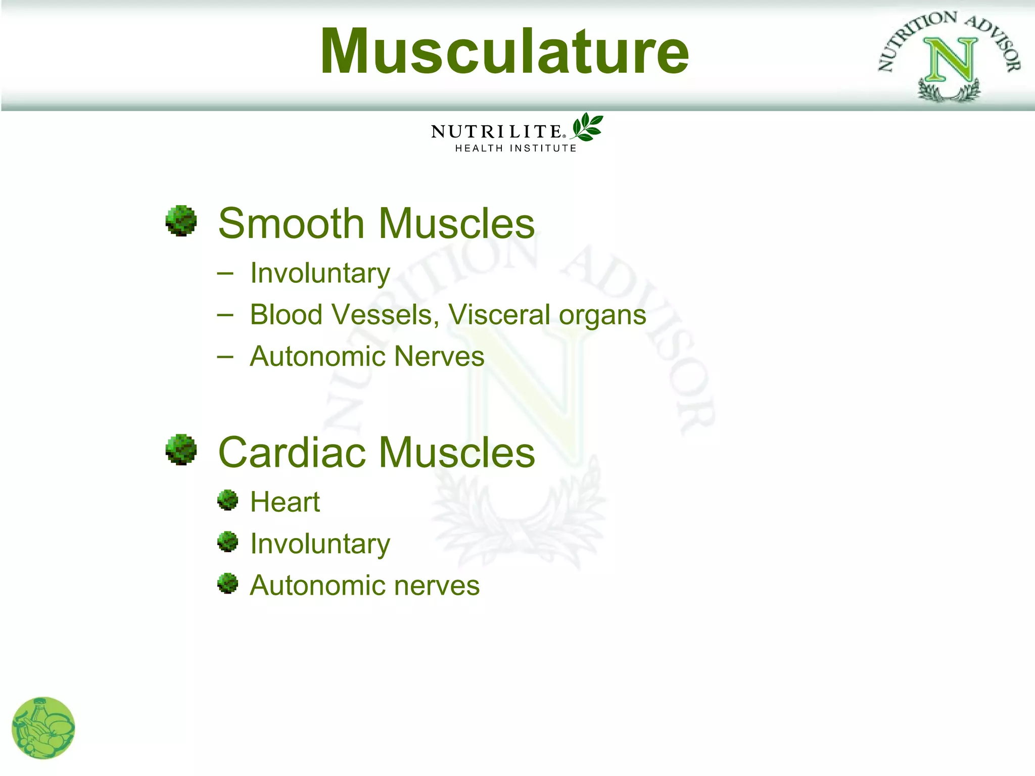 Musculature

Smooth Muscles
– Involuntary
– Blood Vessels, Visceral organs
– Autonomic Nerves


Cardiac Muscles
  Heart
  Involuntary
  Autonomic nerves
 