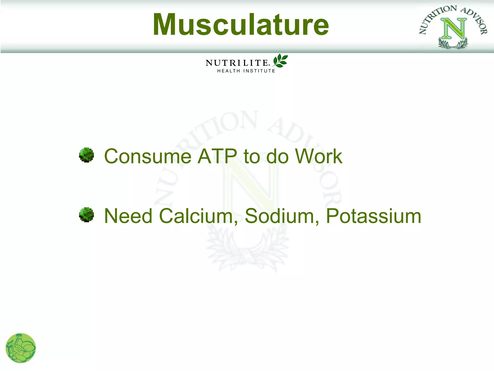 Musculature



Consume ATP to do Work

Need Calcium, Sodium, Potassium
 