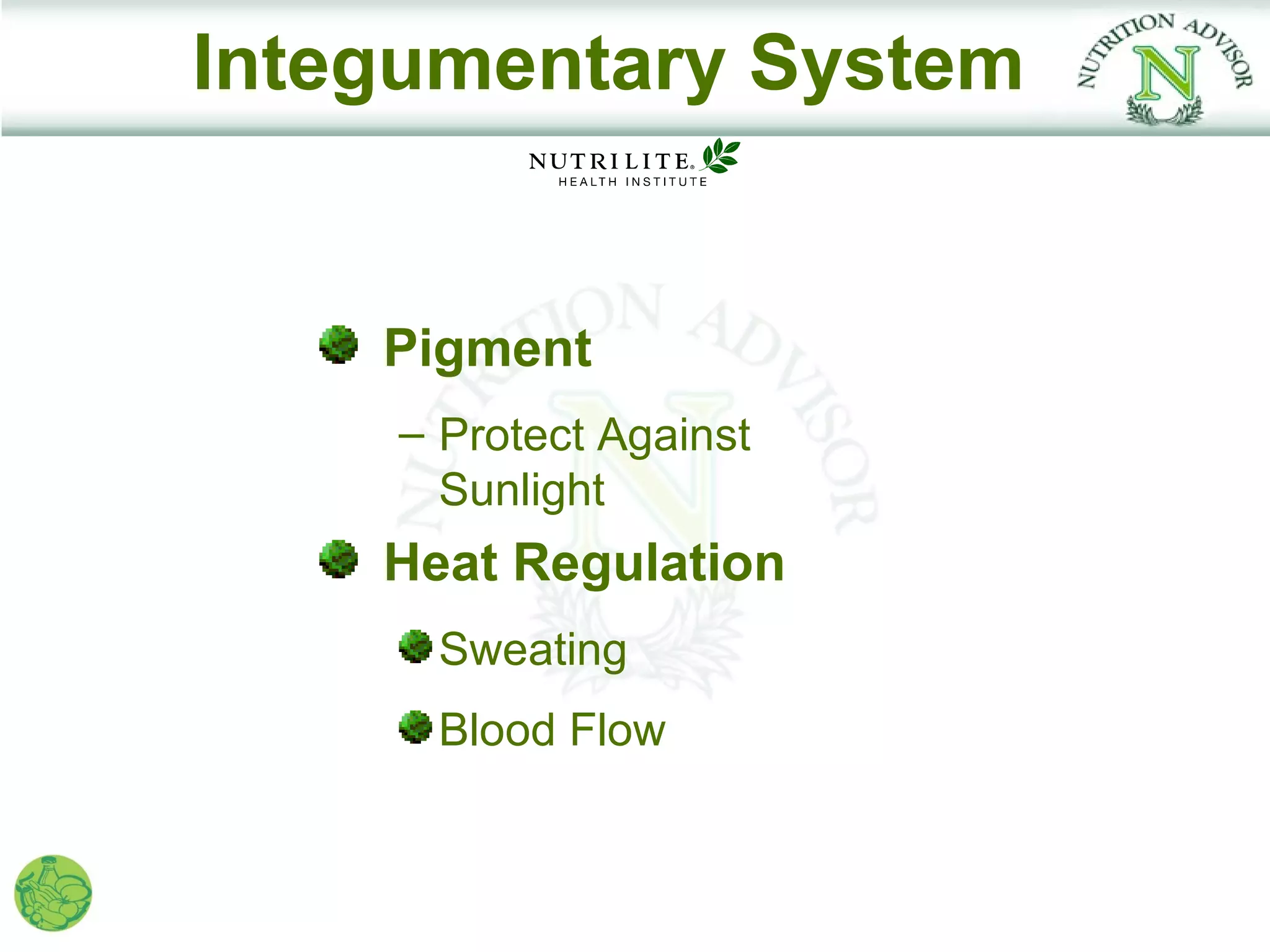 Integumentary System


    Pigment
    – Protect Against
      Sunlight
    Heat Regulation
      Sweating
      Blood Flow
 