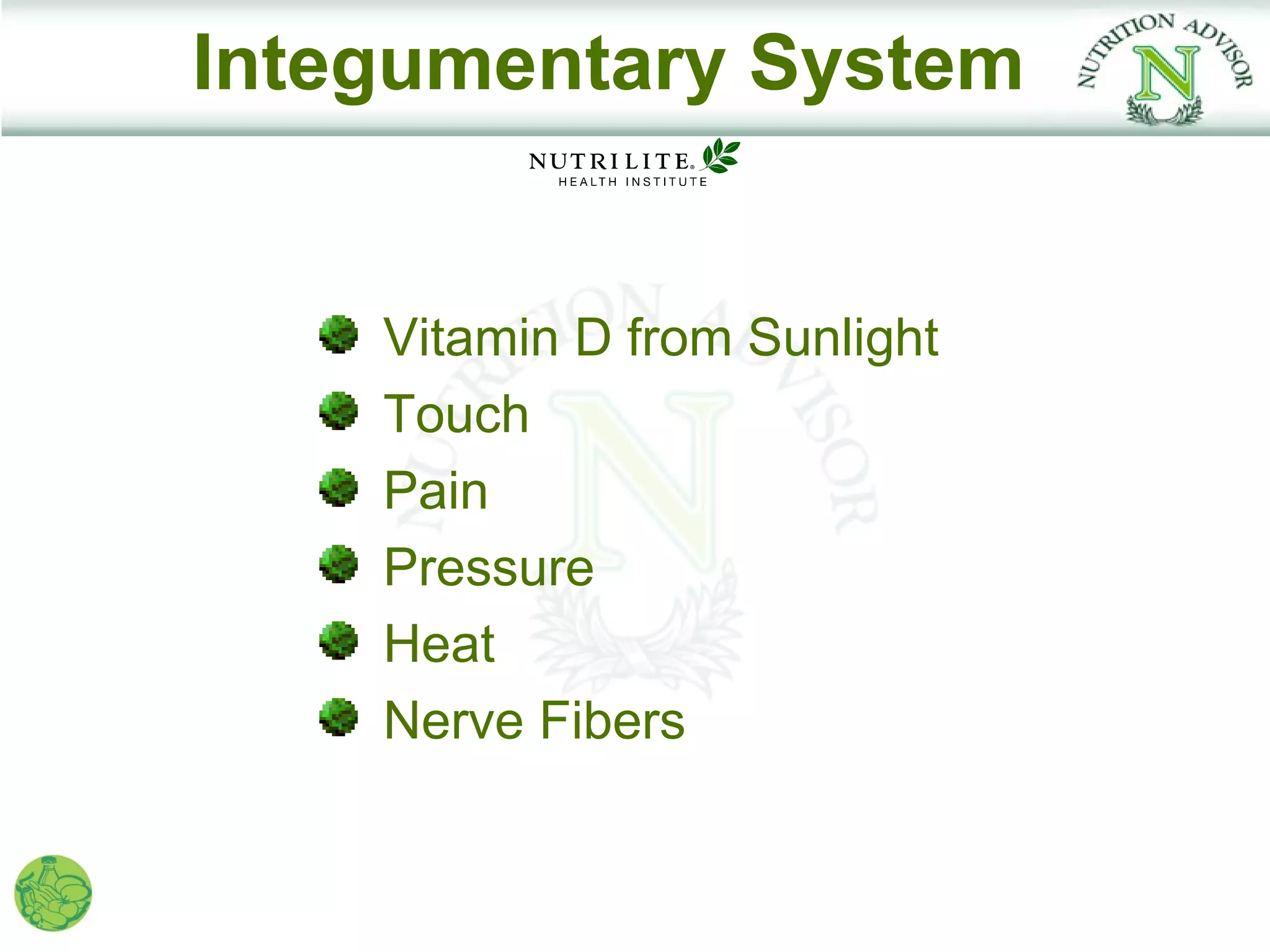 Integumentary System


    Vitamin D from Sunlight
    Touch
    Pain
    Pressure
    Heat
    Nerve Fibers
 