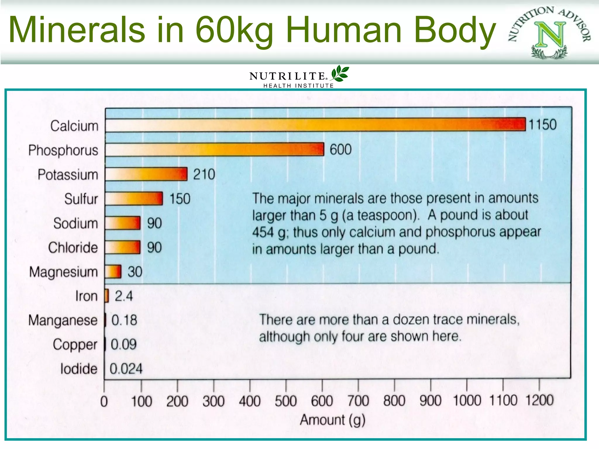 Minerals in 60kg Human Body
 