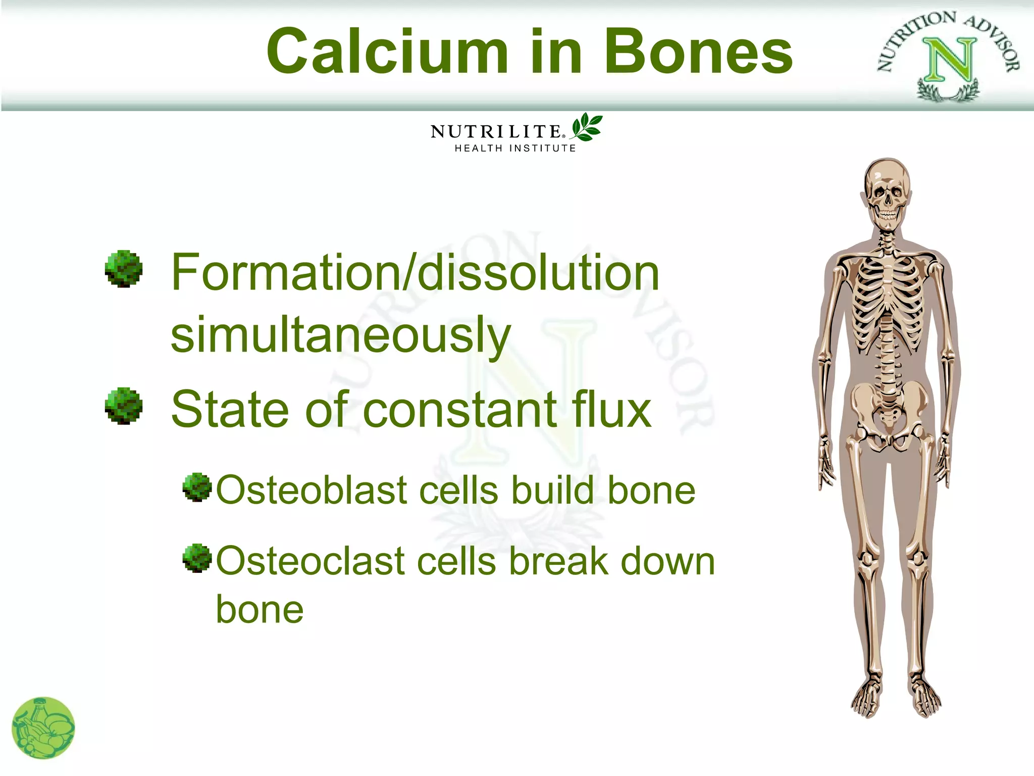 Calcium in Bones


Formation/dissolution
simultaneously
State of constant flux
  Osteoblast cells build bone
  Osteoclast cells break down
  bone
 