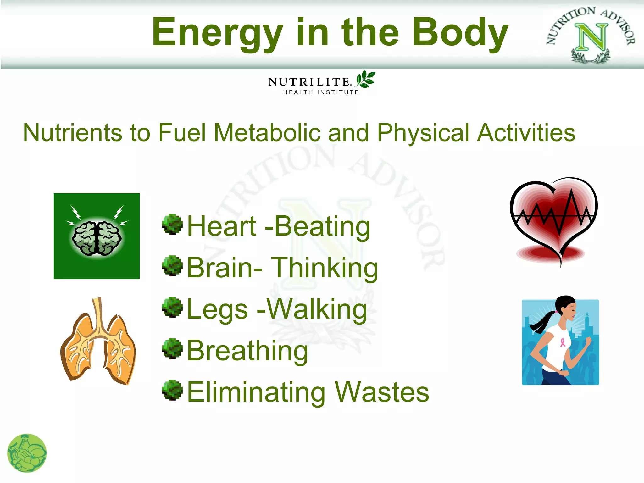Energy in the Body

Nutrients to Fuel Metabolic and Physical Activities


               Heart -Beating
               Brain- Thinking
               Legs -Walking
               Breathing
               Eliminating Wastes
 