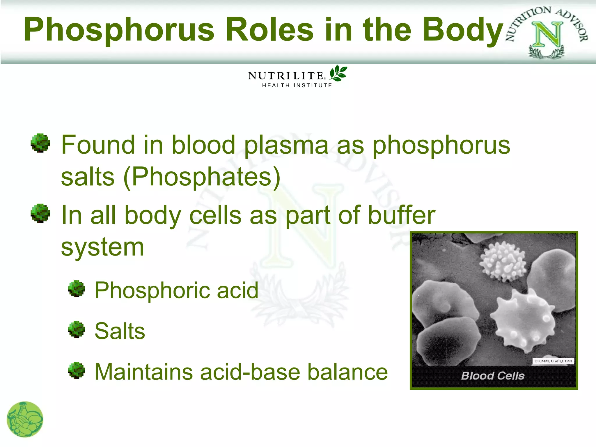 Phosphorus Roles in the Body


  Found in blood plasma as phosphorus
  salts (Phosphates)
  In all body cells as part of buffer
  system
    Phosphoric acid
    Salts
    Maintains acid-base balance
 