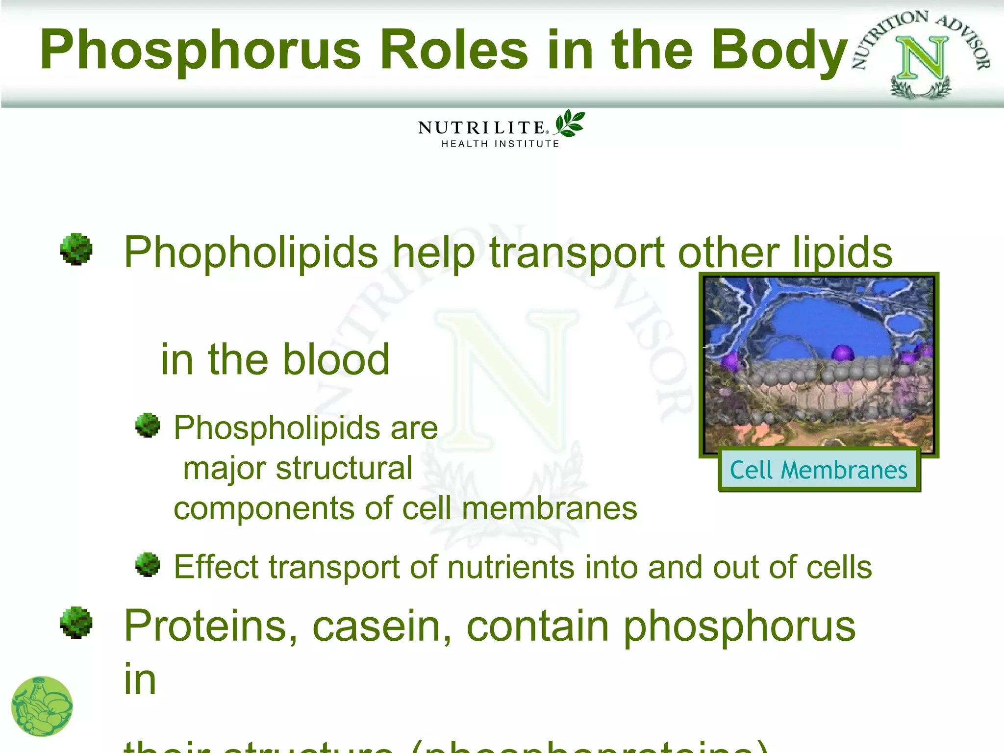 Phosphorus Roles in the Body


  Phopholipids help transport other lipids

    in the blood
    Phospholipids are
     major structural                       Cell Membranes
    components of cell membranes
    Effect transport of nutrients into and out of cells
  Proteins, casein, contain phosphorus
  in
 