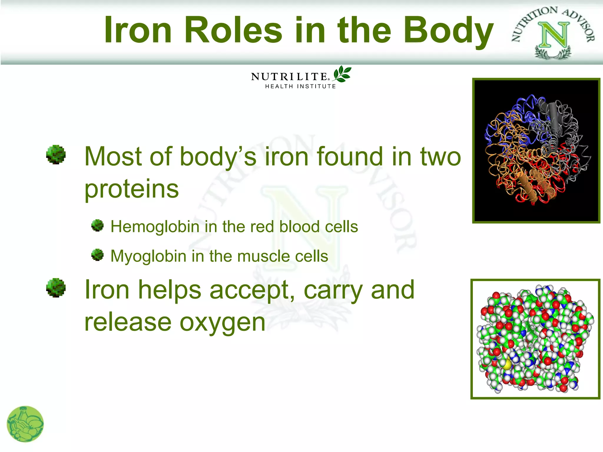 Iron Roles in the Body


Most of body’s iron found in two
proteins
  Hemoglobin in the red blood cells
  Myoglobin in the muscle cells

Iron helps accept, carry and
release oxygen
 
