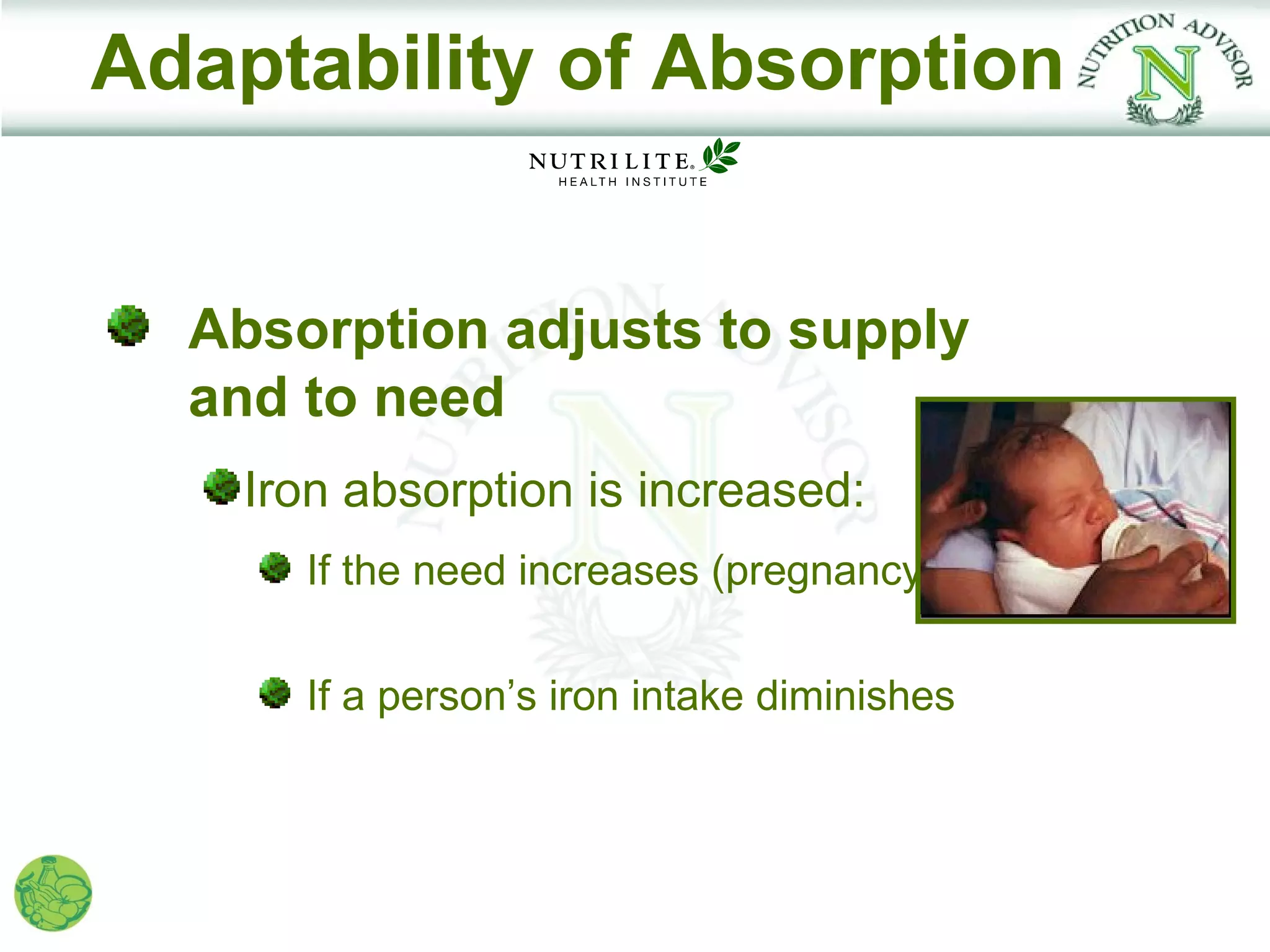 Adaptability of Absorption


  Absorption adjusts to supply
  and to need
    Iron absorption is increased:
      If the need increases (pregnancy)

      If a person’s iron intake diminishes
 