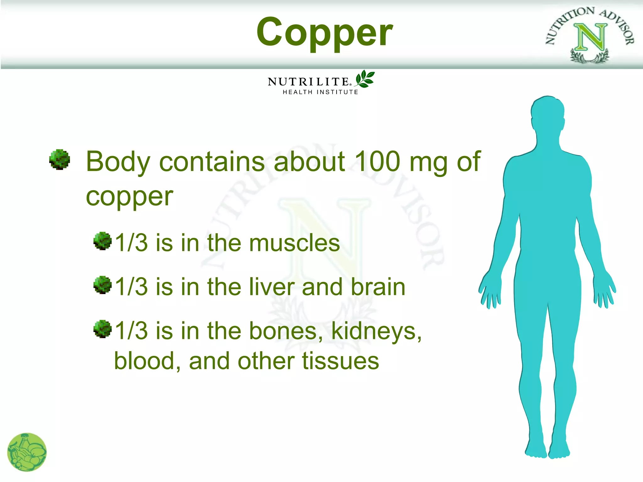 Copper


Body contains about 100 mg of
copper
  1/3 is in the muscles
  1/3 is in the liver and brain
  1/3 is in the bones, kidneys,
  blood, and other tissues
 