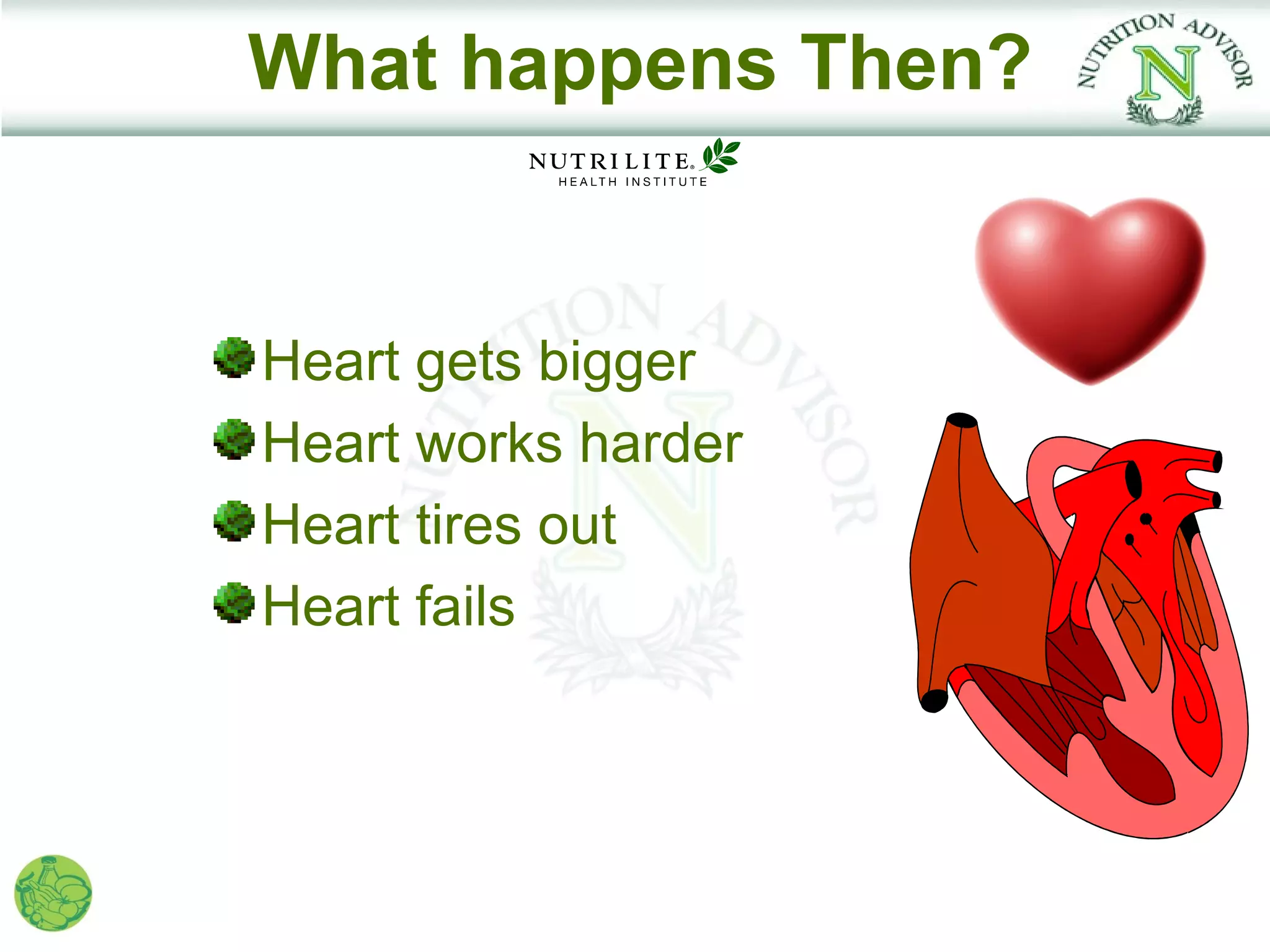 What happens Then?


Heart gets bigger
Heart works harder
Heart tires out
Heart fails
 